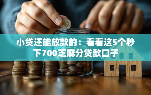 小贷还能放款的：看看这5个秒下700芝麻分贷款口子