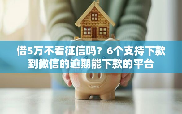 借5万不看征信吗？6个支持下款到微信的逾期能下款的平台