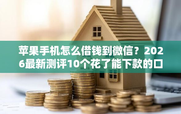 苹果手机怎么借钱到微信？2026最新测评10个花了能下款的口子