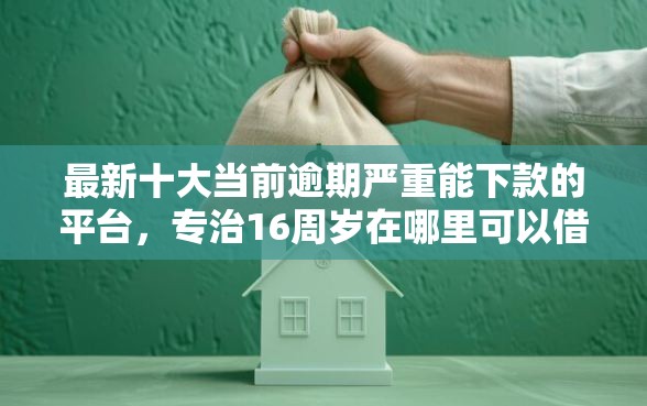 最新十大当前逾期严重能下款的平台，专治16周岁在哪里可以借到钱
