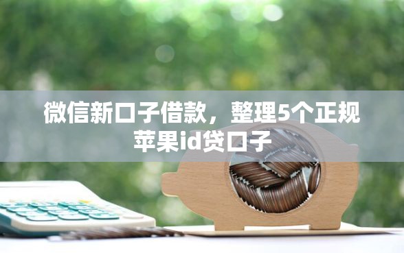 微信新口子借款，整理5个正规苹果id贷口子