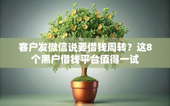 客户发微信说要借钱周转？这8个黑户借钱平台值得一试