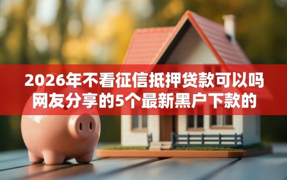 2026年不看征信抵押贷款可以吗网友分享的5个最新黑户下款的口子我觉得不错！
