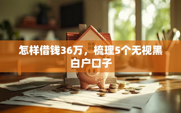 怎样借钱36万，梳理5个无视黑白户口子