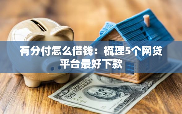 有分付怎么借钱：梳理5个网贷平台最好下款