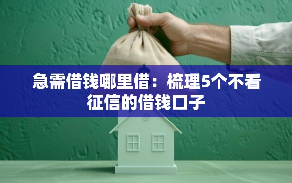 急需借钱哪里借：梳理5个不看征信的借钱口子