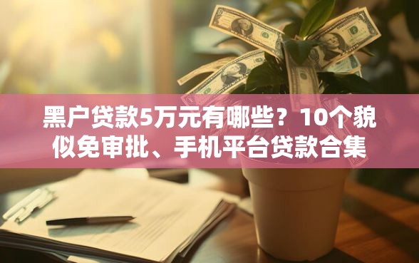 黑户贷款5万元有哪些？10个貌似免审批、手机平台贷款合集