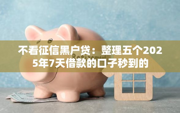 不看征信黑户贷：整理五个2025年7天借款的口子秒到的