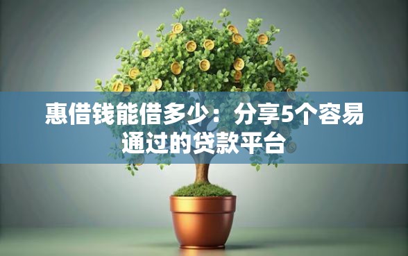 惠借钱能借多少：分享5个容易通过的贷款平台