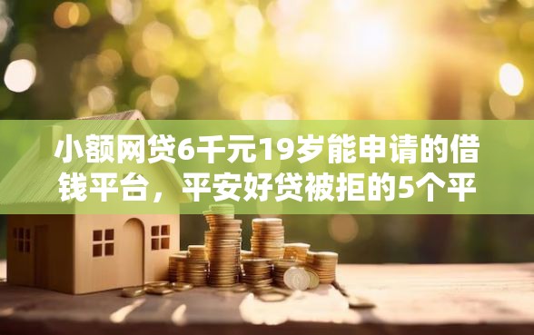 小额网贷6千元19岁能申请的借钱平台，平安好贷被拒的5个平台介绍