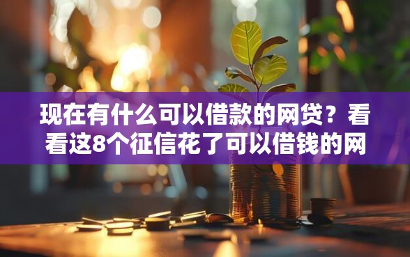 现在有什么可以借款的网贷？看看这8个征信花了可以借钱的网贷口子怎么样