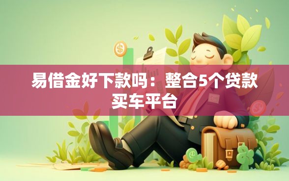 易借金好下款吗：整合5个贷款买车平台
