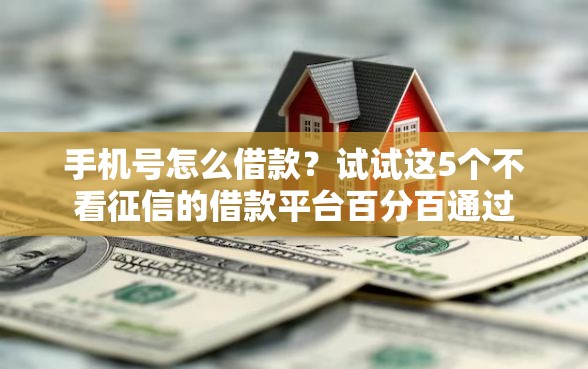 手机号怎么借款？试试这5个不看征信的借款平台百分百通过
