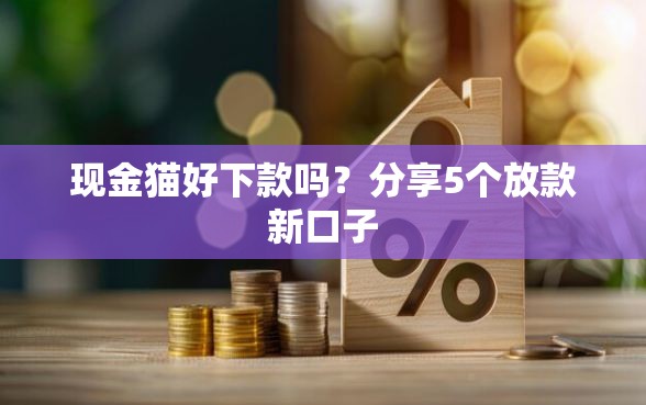 现金猫好下款吗？分享5个放款新口子