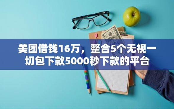 美团借钱16万，整合5个无视一切包下款5000秒下款的平台