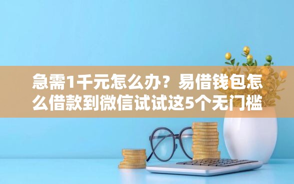 急需1千元怎么办？易借钱包怎么借款到微信试试这5个无门槛平台