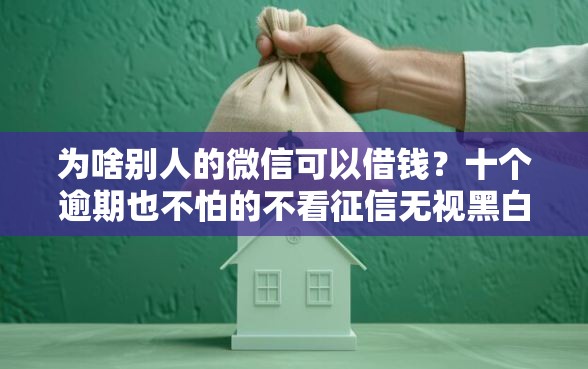 为啥别人的微信可以借钱？十个逾期也不怕的不看征信无视黑白百分百下款网贷口子
