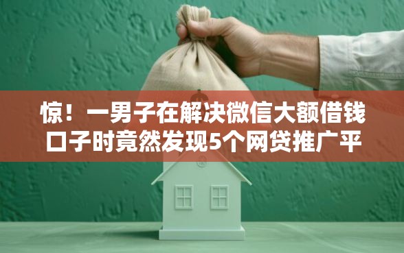 惊！一男子在解决微信大额借钱口子时竟然发现5个网贷推广平台，事后分享了出来