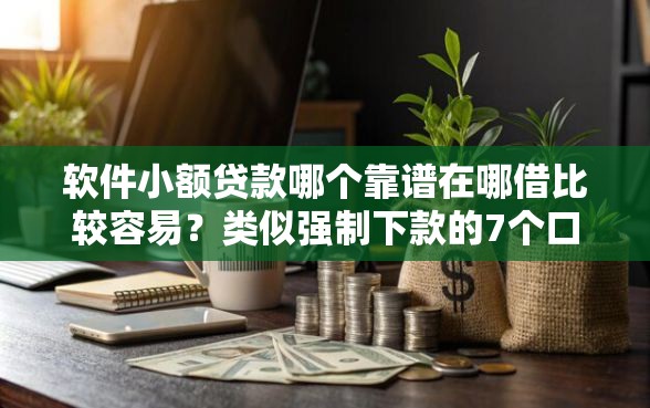 软件小额贷款哪个靠谱在哪借比较容易？类似强制下款的7个口子参考
