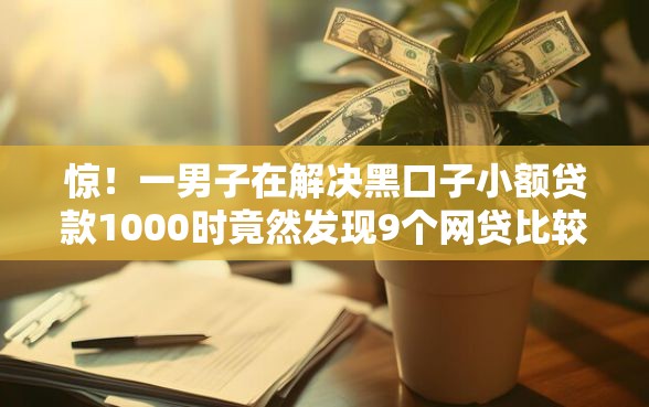 惊！一男子在解决黑口子小额贷款1000时竟然发现9个网贷比较正规的平台，事后分享了出来