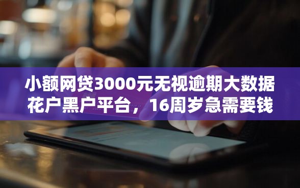小额网贷3000元无视逾期大数据花户黑户平台,16周岁急需要钱能贷款不的6个平台介绍 小额网贷3000元无视逾期大数据花户黑户平台,16周岁急需要钱能贷款不的6个平台介绍