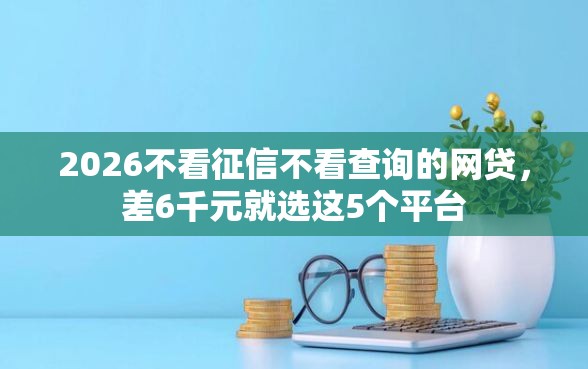 2026不看征信不看查询的网贷，差6千元就选这5个平台