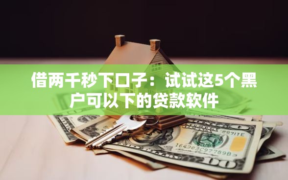 借两千秒下口子：试试这5个黑户可以下的贷款软件