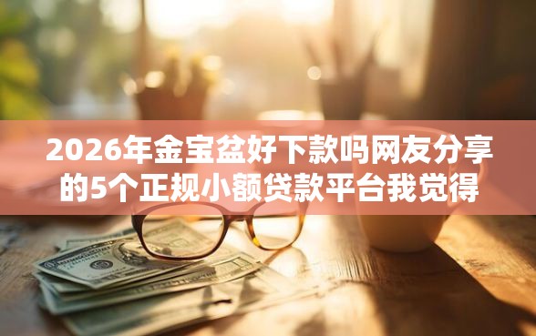 2026年金宝盆好下款吗网友分享的5个正规小额贷款平台我觉得不错！