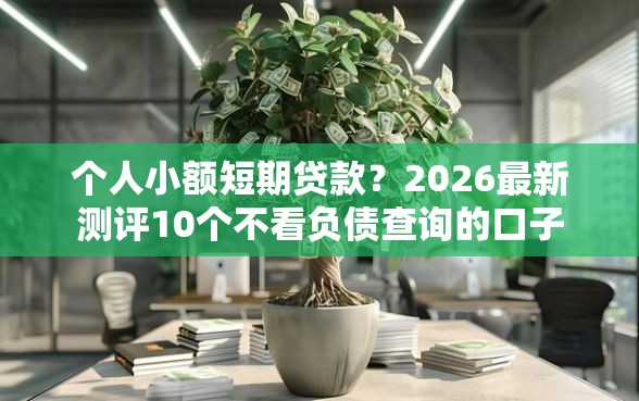 个人小额短期贷款？2026最新测评10个不看负债查询的口子