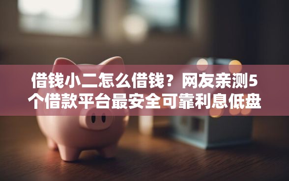 借钱小二怎么借钱?网友亲测5个借款平台最安全可靠利息低盘点 借钱小二怎么借钱?网友亲测5个借款平台最安全可靠利息低盘点