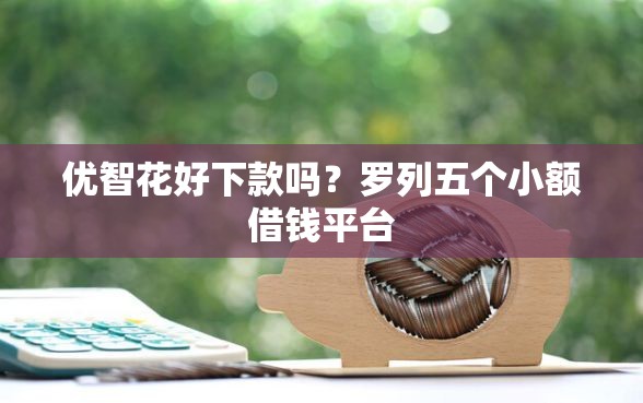 优智花好下款吗？罗列五个小额借钱平台