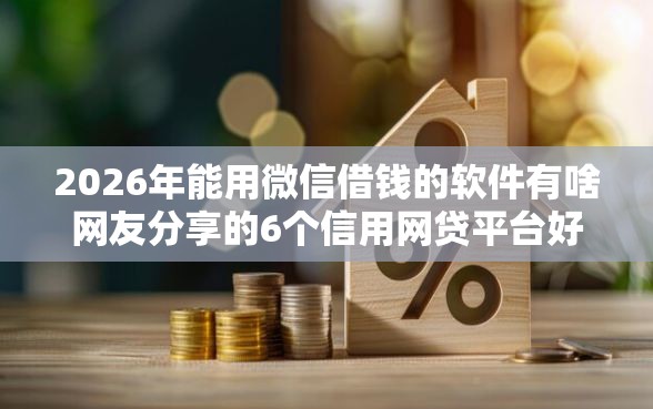 2026年能用微信借钱的软件有啥网友分享的6个信用网贷平台好我觉得不错！