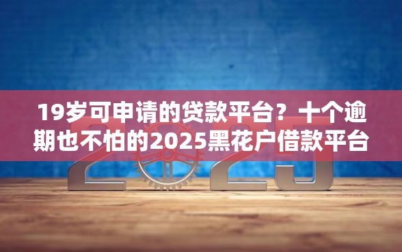 19岁可申请的贷款平台？十个逾期也不怕的2025黑花户借款平台