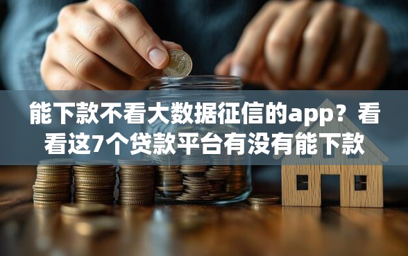 能下款不看大数据征信的app？看看这7个贷款平台有没有能下款的