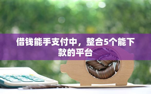 借钱能手支付中，整合5个能下款的平台