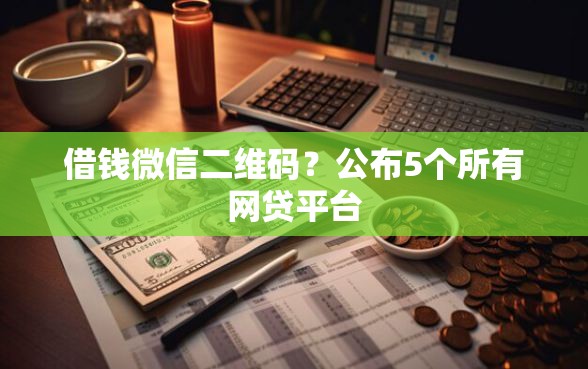借钱微信二维码？公布5个所有网贷平台