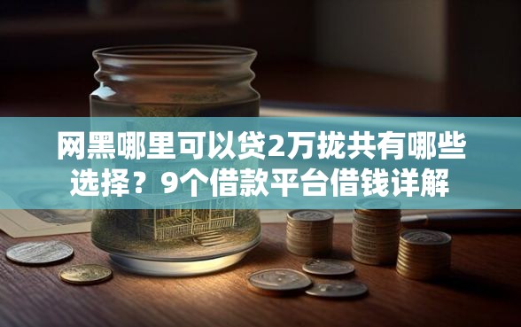 网黑哪里可以贷2万拢共有哪些选择？9个借款平台借钱详解