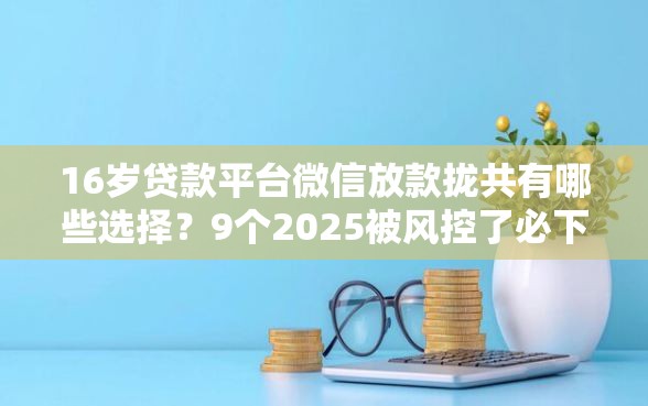 16岁贷款平台微信放款拢共有哪些选择？9个2025被风控了必下的口子详解