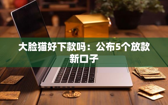 大脸猫好下款吗：公布5个放款新口子