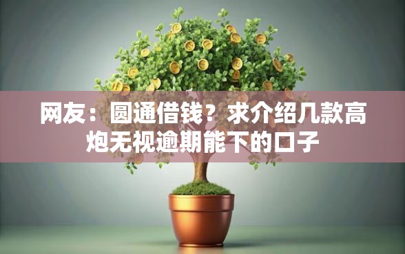 网友：圆通借钱？求介绍几款高炮无视逾期能下的口子