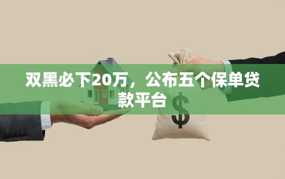 双黑必下20万，公布五个保单贷款平台