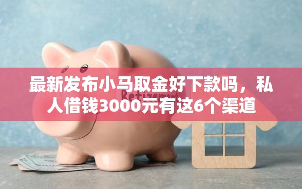 最新发布小马取金好下款吗，私人借钱3000元有这6个渠道