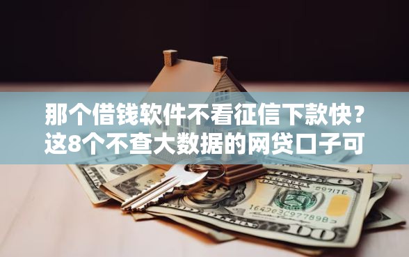 那个借钱软件不看征信下款快？这8个不查大数据的网贷口子可以试试