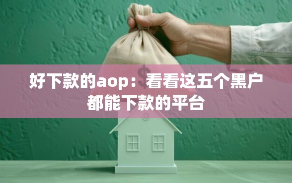 好下款的aop：看看这五个黑户都能下款的平台