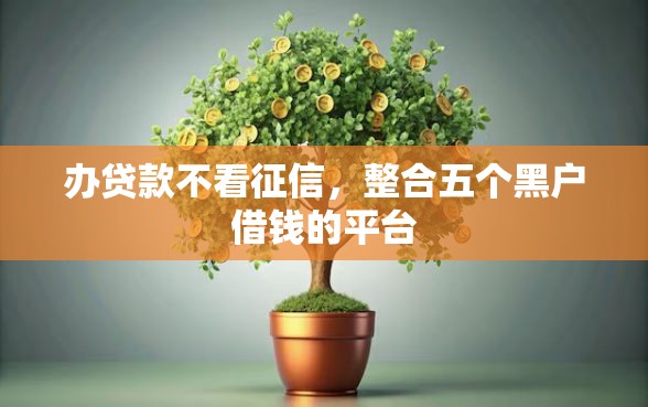 办贷款不看征信，整合五个黑户借钱的平台