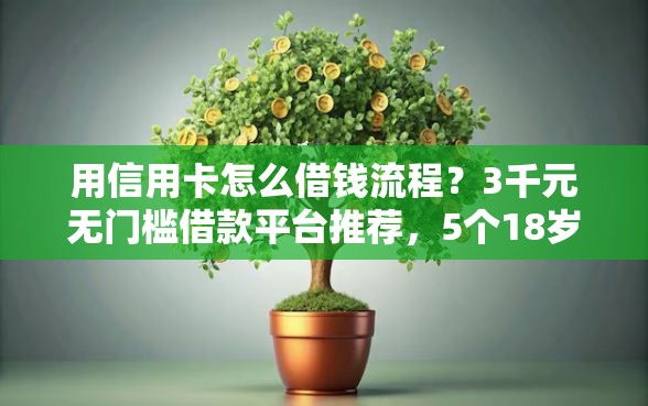 用信用卡怎么借钱流程？3千元无门槛借款平台推荐，5个18岁借款神器快速下款平台盘点