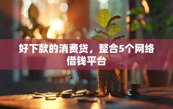 好下款的消费贷，整合5个网络借钱平台
