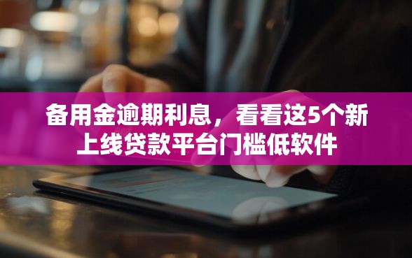 备用金逾期利息，看看这5个新上线贷款平台门槛低软件
