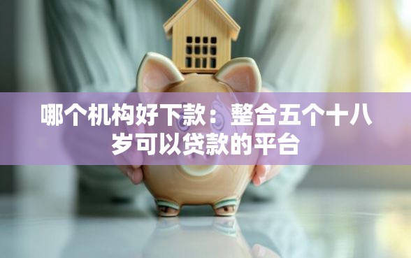 哪个机构好下款：整合五个十八岁可以贷款的平台