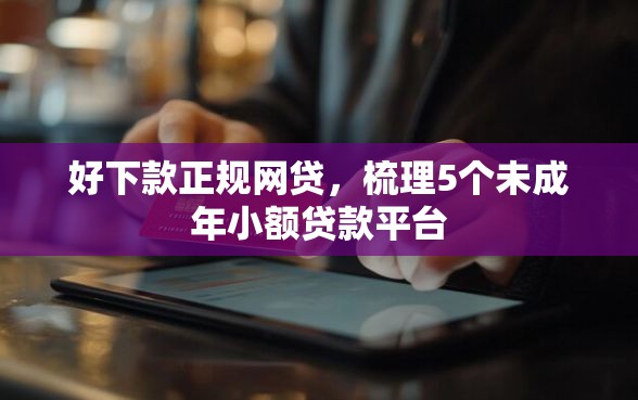 好下款正规网贷，梳理5个未成年小额贷款平台